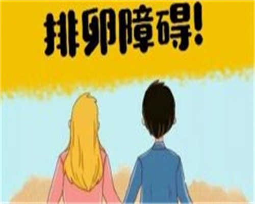 上海长征医院孙宁霞医生做试管婴儿养囊的成功率高吗？